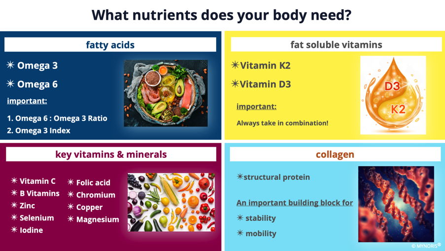 Nutrientes importantes para la membrana celular